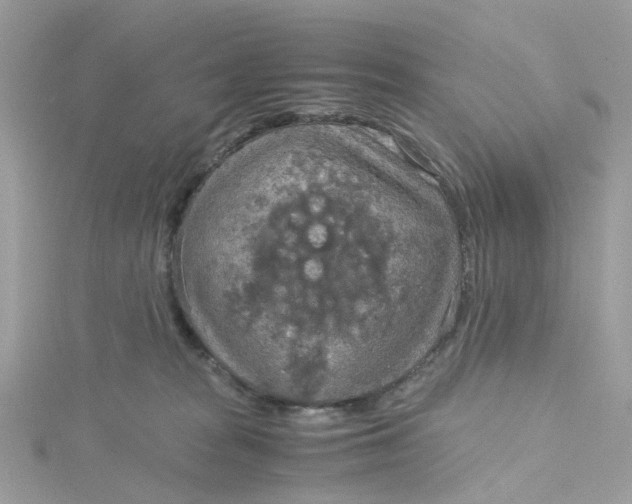 X0000115190277200911181454