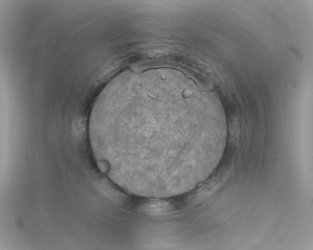 X0000115190278200911181454