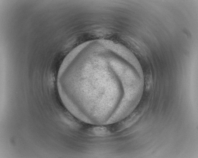 X0000115190279200911181454