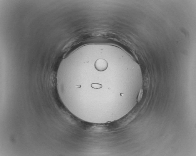 X0000115190280200911181454