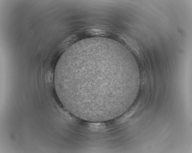 X0000115190281200911181454