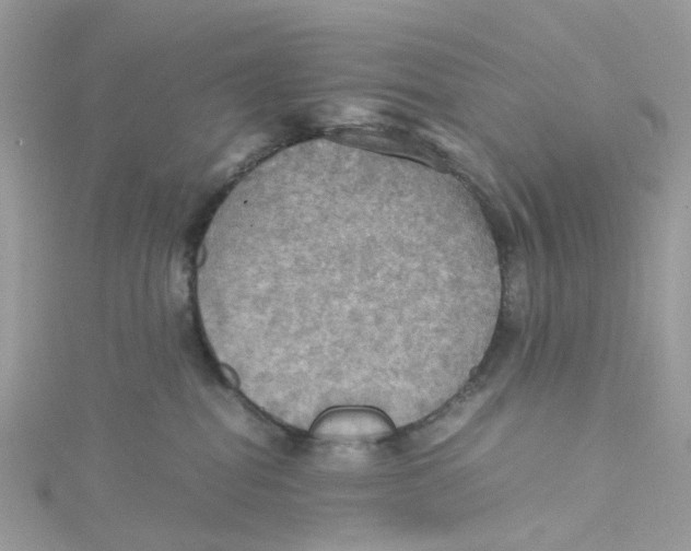 X0000115190282200911181454