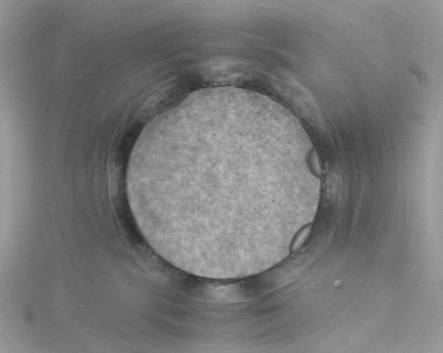 X0000115190283200911181454