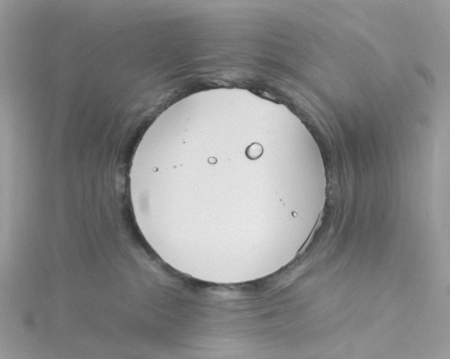 X0000115190284200911181454