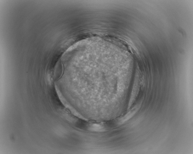 X0000115190285200911181454