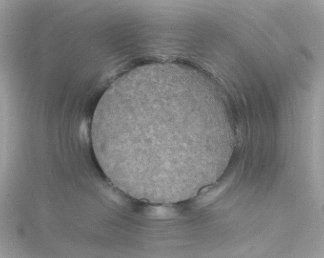 X0000115190286200911181454