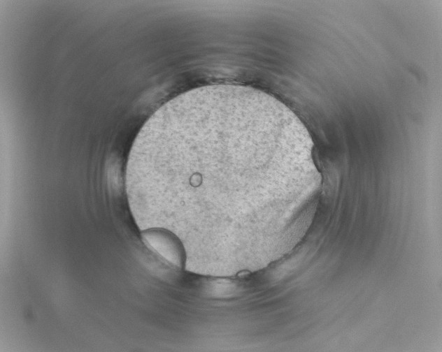 X0000115190287200911181454