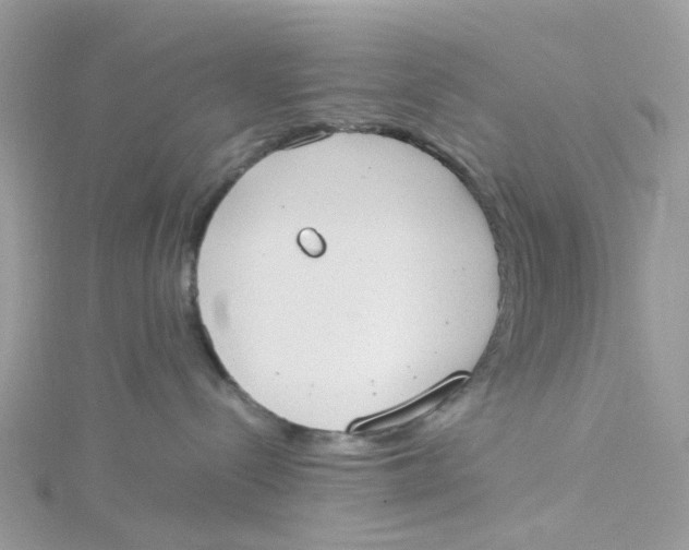 X0000115190288200911181454