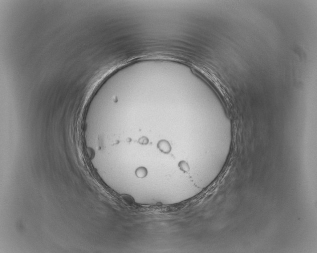 X0000115190289200911181454