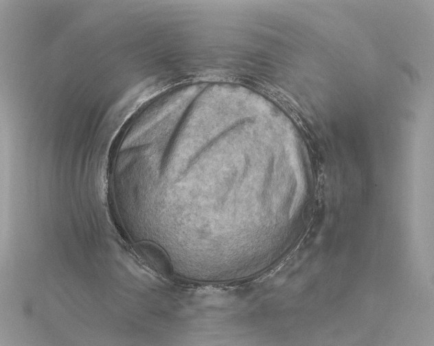 X0000115190290200911181454