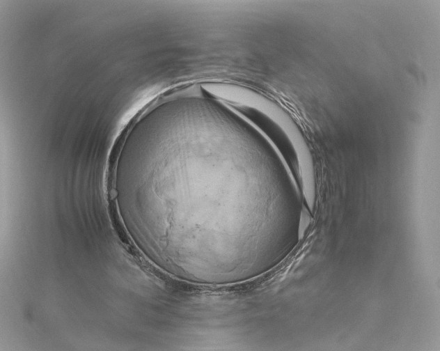 X0000115190292200911181454