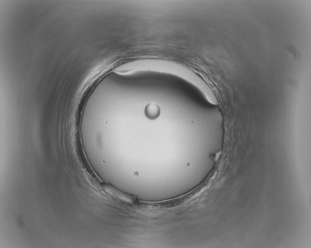 X0000115190293200911181454