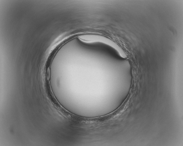 X0000115190295200911181454