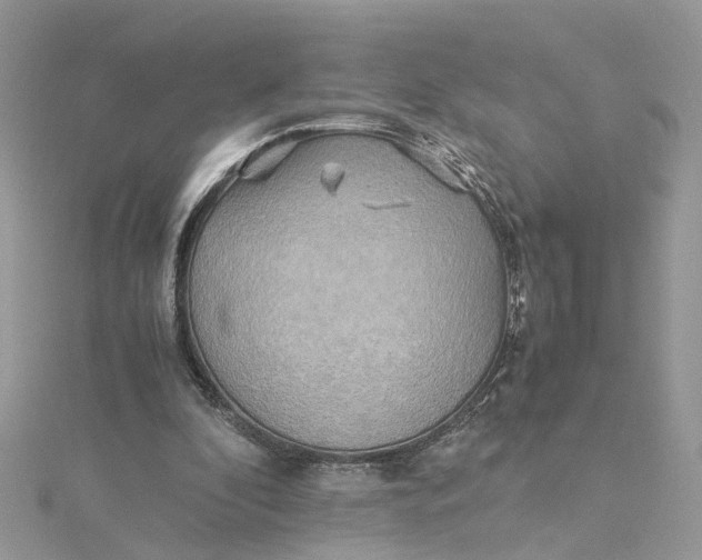 X0000115190296200911181454