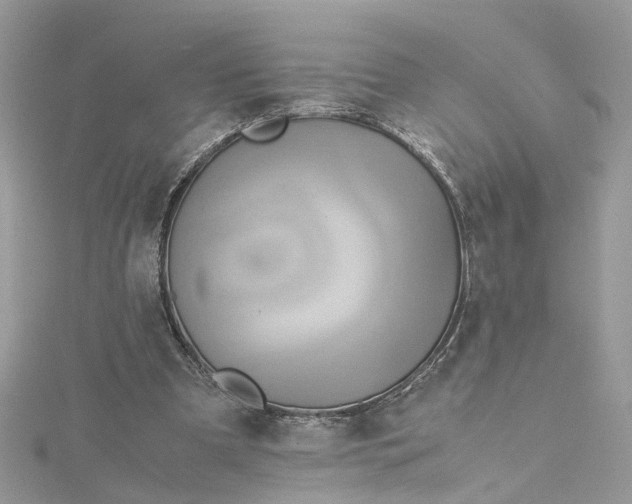 X0000115190297200911181454