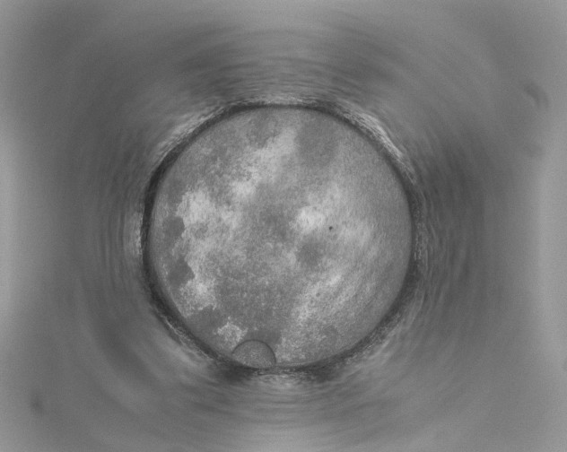 X0000115190299200911181454