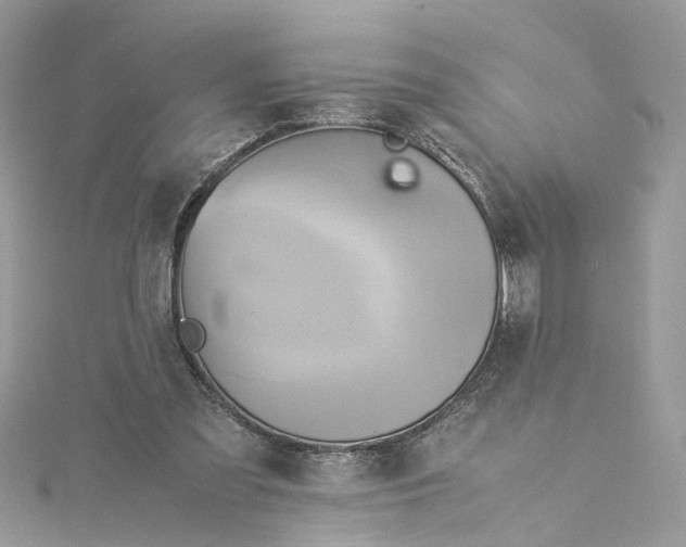 X0000115190301200911181453