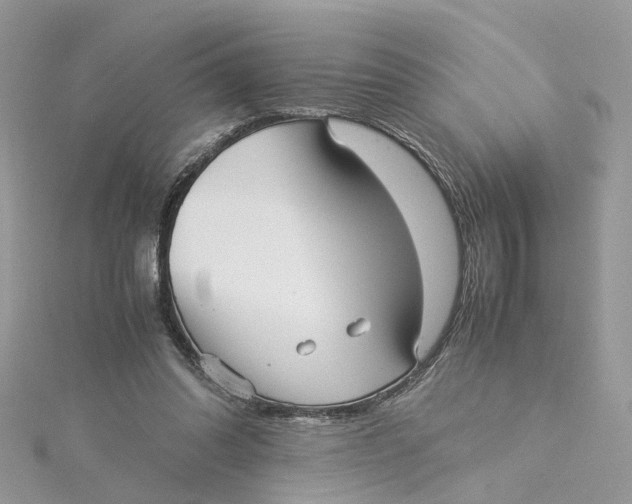 X0000115190302200911181453