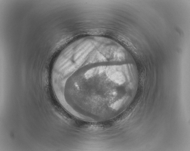 X0000115190303200911181453