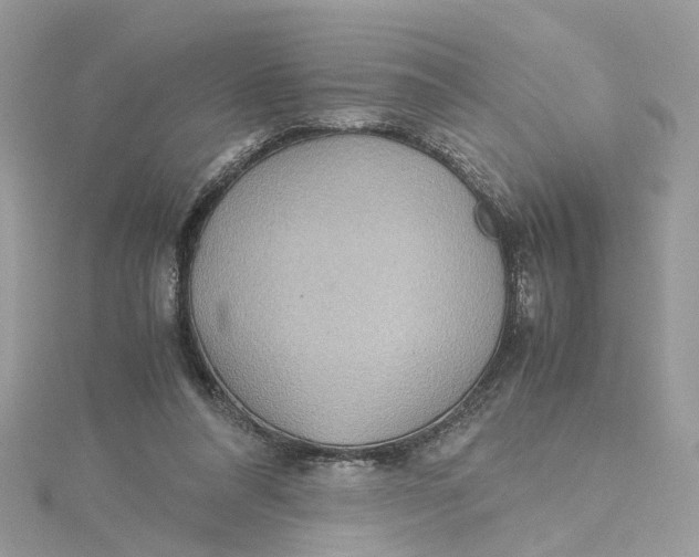 X0000115190304200911181453