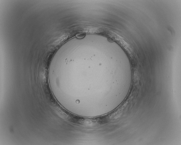 X0000115190305200911181453