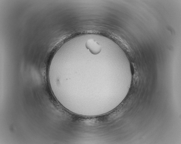 X0000115190306200911181453