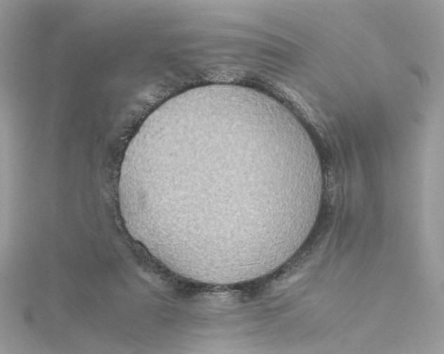 X0000115190307200911181453