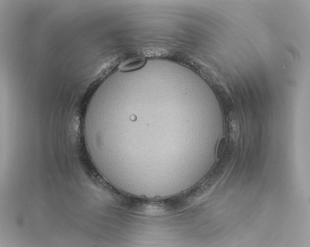 X0000115190308200911181453