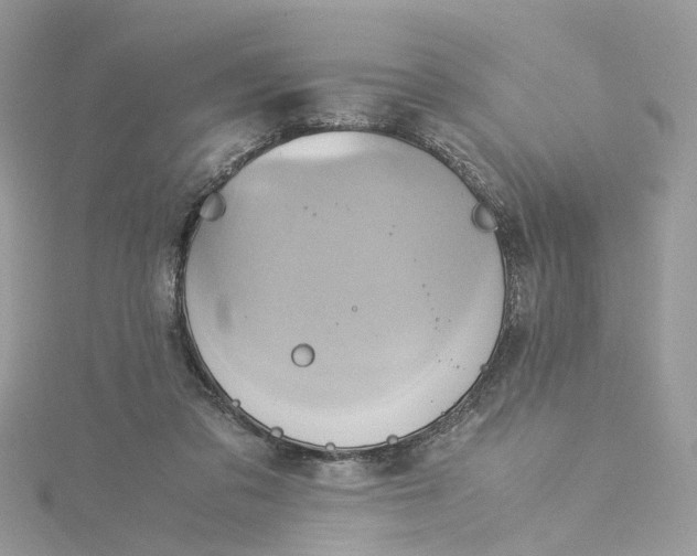 X0000115190309200911181453