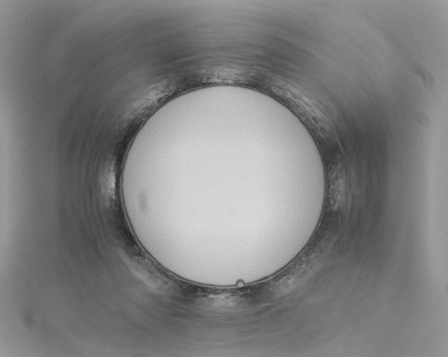 X0000115190310200911181453