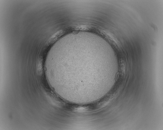 X0000115190312200911181453