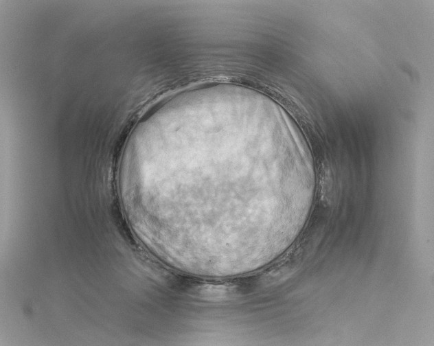 X0000115190314200911181453