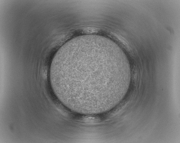 X0000115190315200911181453