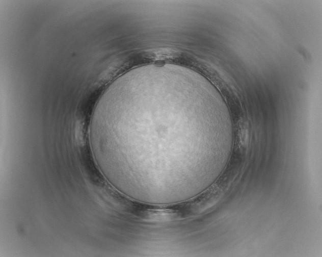 X0000115190316200911181453