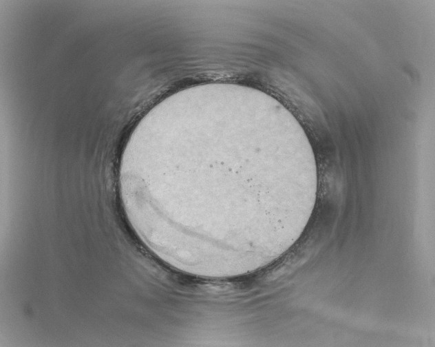 X0000115190317200911181453