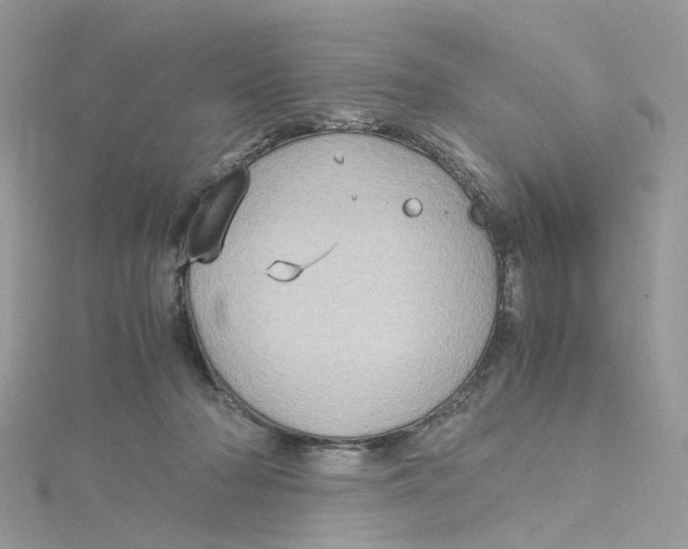 X0000115190318200911181453