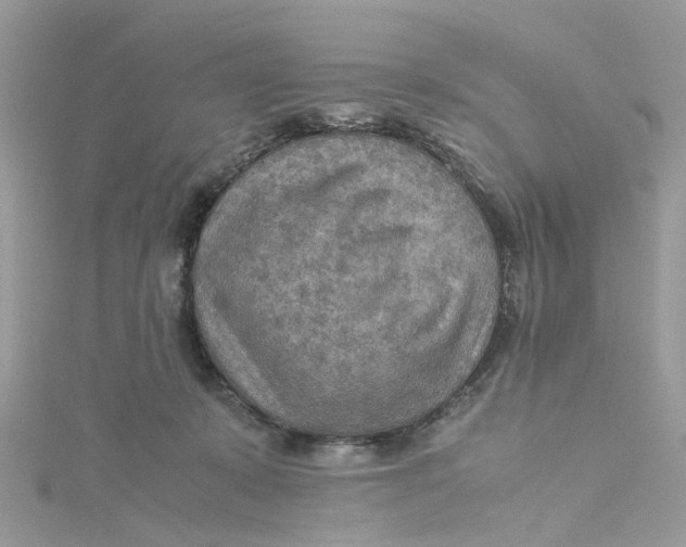 X0000115190319200911181453