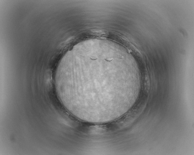 X0000115190320200911181453