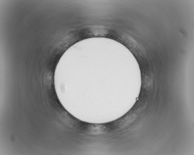 X0000115190321200911181453