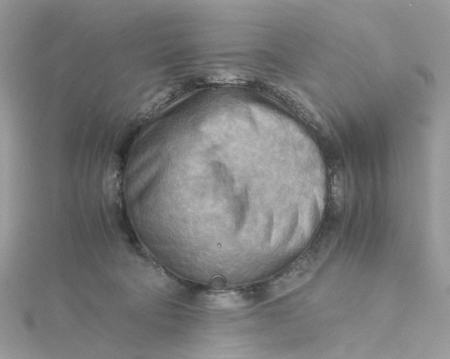 X0000115190322200911181453