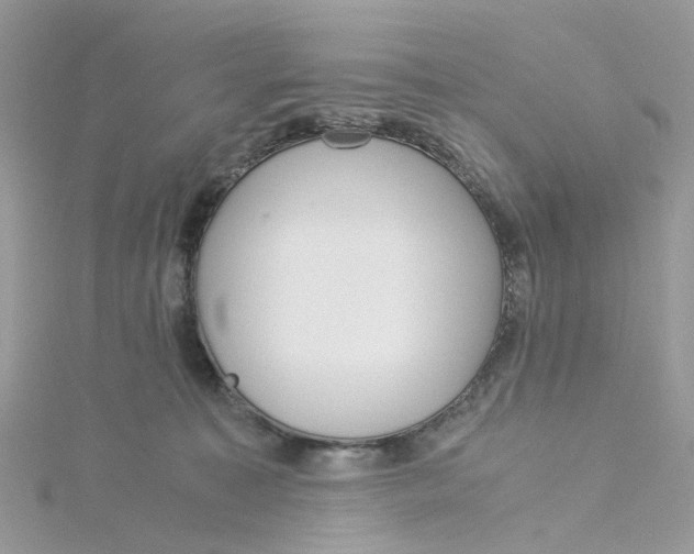 X0000115190323200911181453