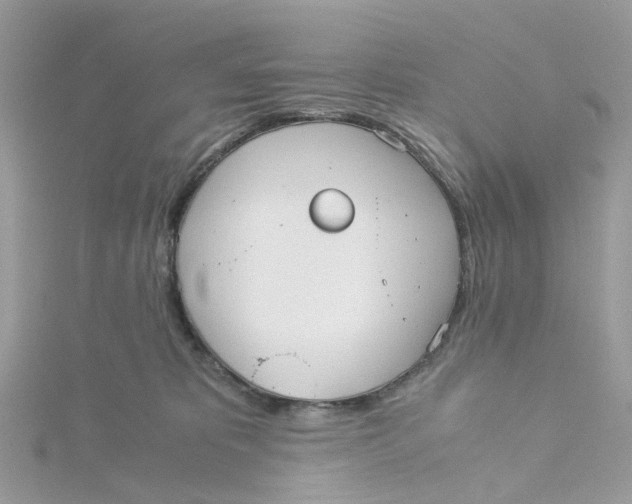 X0000115190325200911181453