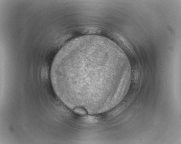 X0000115190326200911181453