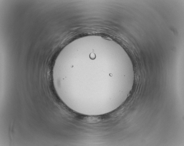 X0000115190327200911181453