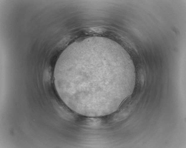 X0000115190328200911181453