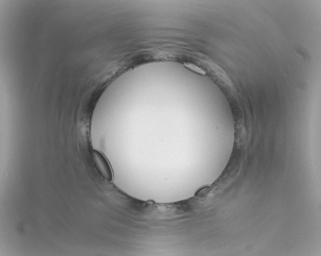 X0000115190329200911181453