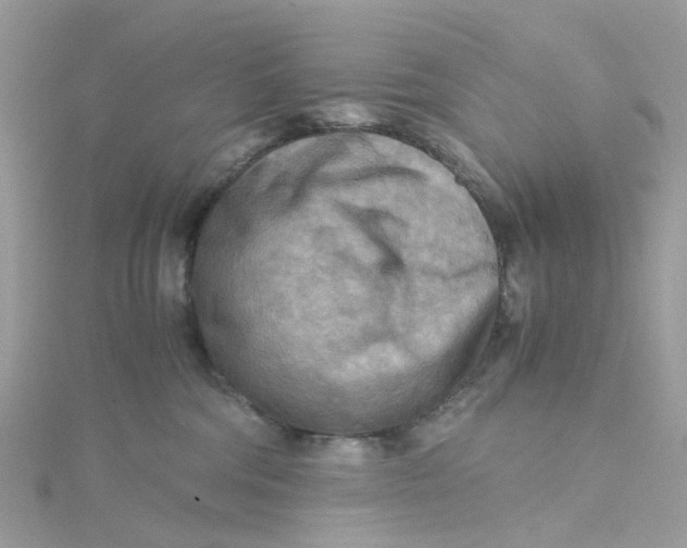 X0000115190330200911181453