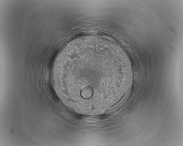 X0000115190331200911181453