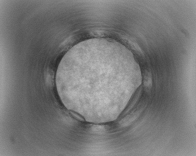 X0000115190332200911181453