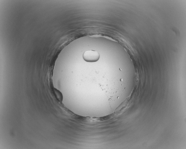 X0000115190333200911181453